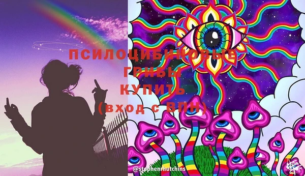 мяу мяу мука Покачи
