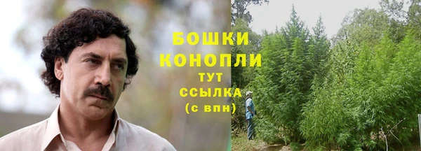 СК Покров