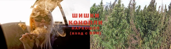 ГАЛЛЮЦИНОГЕННЫЕ ГРИБЫ Абинск