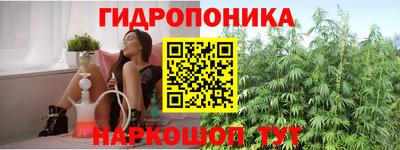 ПСИЛОЦИБИНОВЫЕ ГРИБЫ Коммунар