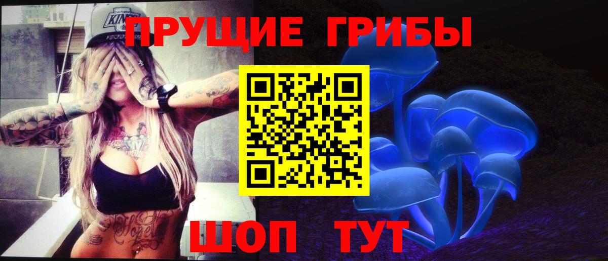 Галлюциногенные грибы мицелий  Вход с VPN  Кизляр  Псилоцибиновые грибы мицелий 