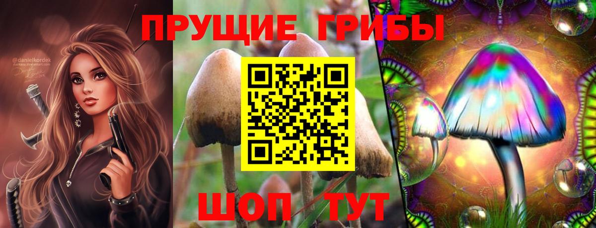 Псилоцибиновые грибы прущие грибы Кизляр